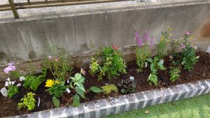花壇に苗を植えてみました！～埼玉本店で建てた健康注文住宅に入居中！～