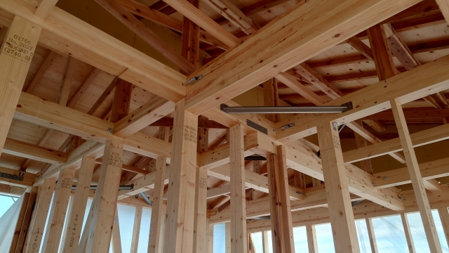 ウッドショックって何?原因は?影響は?注文住宅はいつ建てるのが賢いの?